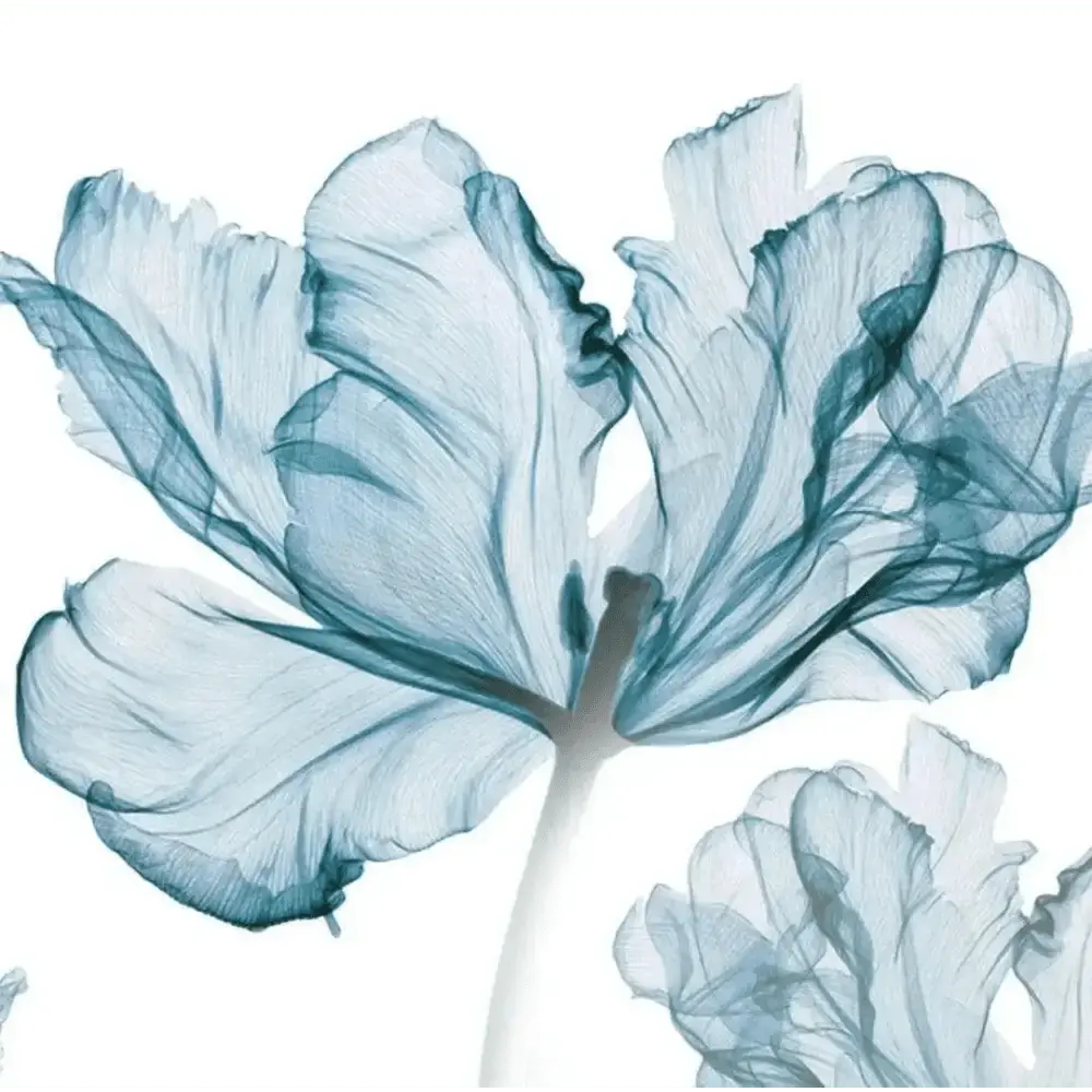 Serene Blue Floral Wall Stickers - Elegant Nature Decor - Easy do Wall do