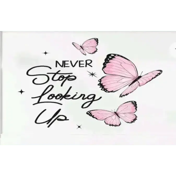 Pink Butterfly and Inspirational Quote Wall Decals for Elegant Spaces - Easy do Wall do