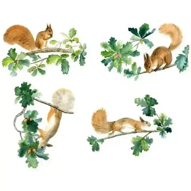 Playful Squirrels and Acorns Wall Stickers for Fun Spaces - Easy do Wall do